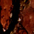 080325_t.jpg