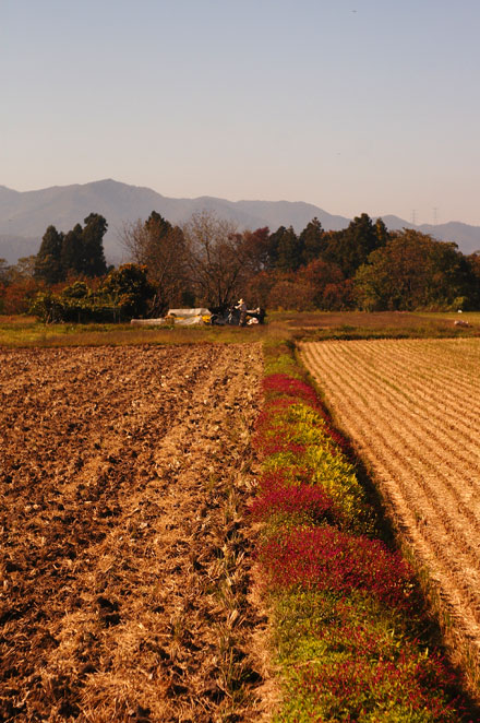071025kaminoyama.jpg
