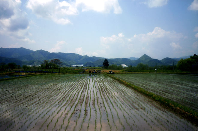 5 Days in Yamagata イメージ