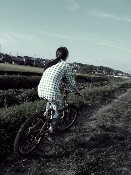 自転車日和
